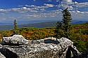 _MG_2795 view east from Dolly Sods-fall color.jpg