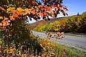 _MG_3602 fall color along the highland scenic highway.jpg