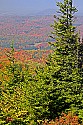 _MG_4040 spruce knob national recreation area overlook.jpg