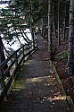 _MG_4446 Spruce Knob Lake boardwalk-fall.jpg
