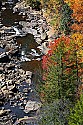 _MG_8839 fall color along the blackwater river.jpg