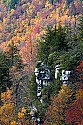 _MG_8863 blackwater state park-fall color.jpg