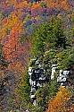 _MG_8925 fall color in the blackwater river canyon-blackwater falls state park wv.jpg