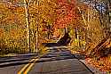_MG_8875 fall color along lewis county road.jpg
