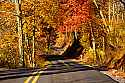 _MG_8881 Lewis County Road in fall.jpg