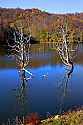 _MG_9075 Stonewall Jackson Lake State Park.jpg