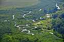 _GO13912 wetlands in canaan valley wv.jpg