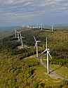 _DSC4202 wind turbines.jpg