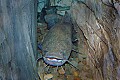 DSC_7731 40 pound flathead catfish.jpg