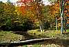 WMAG663 fall color, spruce knob area.jpg