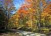 WMAG664 fall color, spruce knob area.jpg