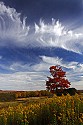 _MG_1761 canaan valley state park-fall color-spectacular clouds.jpg