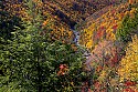 _MG_2080 blackwater falls state park-blackwater river canyon fall color.jpg