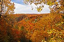 _MG_2239 fall color in the blackwater river canyon-blackwater falls state park wv.jpg