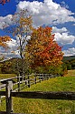 _MG_2453 red creek road along canaan valley boundary-rail fence and fall color.jpg