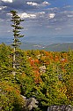_MG_2794 view east from Dolly Sods-fall color.jpg