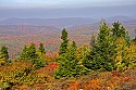 _MG_4055 spruce knob national recreation area overlook.jpg