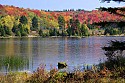 _MG_4405 Spruce Knob Lake-Fall.jpg