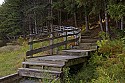 _MG_4422 Spruce Knob Lake boardwalk-fall.jpg