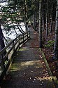 _MG_4438 Spruce Knob Lake boardwalk-fall.jpg