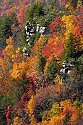 _MG_8836 blackwater river state park-fall color.jpg