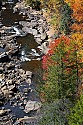 _MG_8839 fall color along the blackwater river.jpg