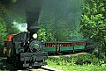 State Parks902 Cass Scenic Railroad.jpg