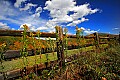 _MG_2132  highlands scenic highway-fence and clouds.jpg