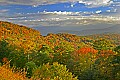 _MG_2521 fall color-highland scenic highway.jpg