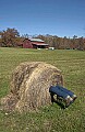 DSC_3790 feet in bale of hay.jpg