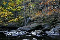 _MG_4937 river fall color.jpg