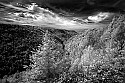 _MG_3939 blackwater canyon-infrared.jpg