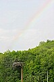 _MG_4572 osprey and rainbow.jpg
