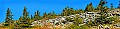 spruce knob panorama 8x34.jpg
