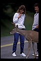 10065-00180-Whitetail Deer.jpg