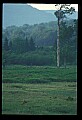 10065-00276-Whitetail Deer.jpg