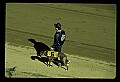 10089-00015-Grayhound Racing.jpg