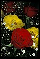 01020-00202-Red Flowers-Rose.jpg