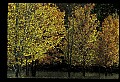 03120-00116-Michigan Scenes.jpg