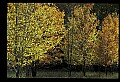 03120-00117-Michigan Scenes.jpg