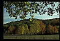 03120-00122-Michigan Scenes.jpg