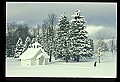 03120-00168-Michigan Scenes.jpg