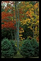 03120-00179-Michigan Scenes.jpg