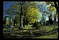 03120-00191-Michigan Scenes.jpg