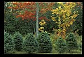 03120-00193-Michigan Scenes.jpg