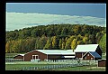 03120-00200-Michigan Scenes.jpg