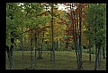 03120-00205-Michigan Scenes.jpg