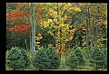 03120-00206-Michigan Scenes.jpg