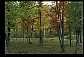 03120-00245-Michigan Scenes.jpg