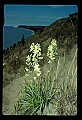 03250-00003-Michigan National Parks-Sleeping Bear Dunes National Lakeshore.jpg